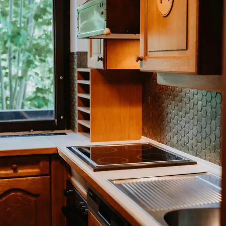 Zentrum Appartement Wagrain